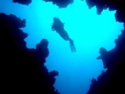 Reef 2000 - The Canyon Crack Diver